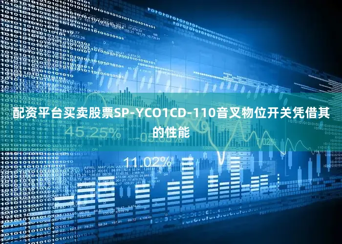 配资平台买卖股票SP-YCO1CD-110音叉物位开关凭借其的性能