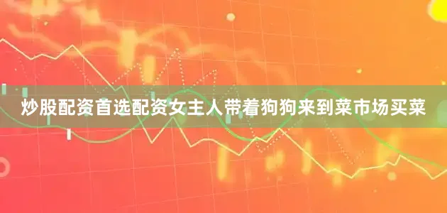 炒股配资首选配资女主人带着狗狗来到菜市场买菜